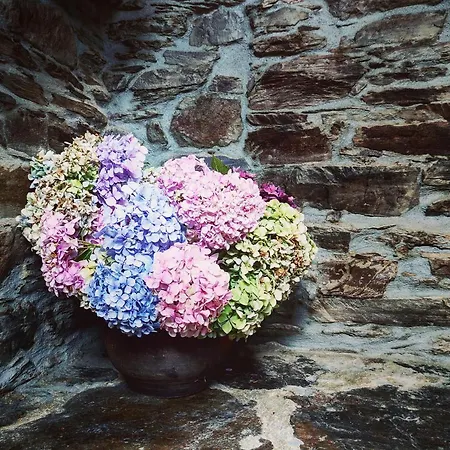 Casa De Riba * Teijeira