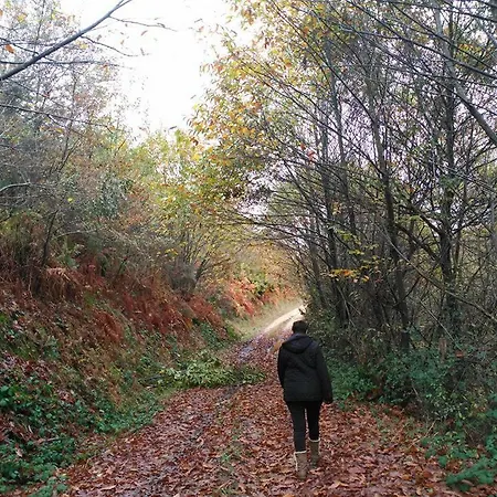 Appartement Casa De Riba Teijeira