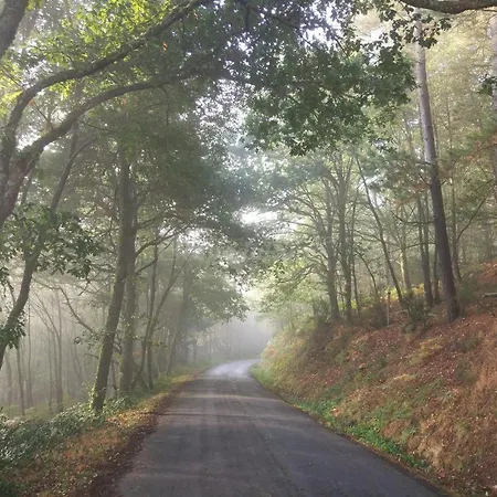 Casa De Riba Apartment Teijeira