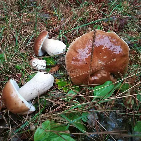 شقة Casa De Riba *