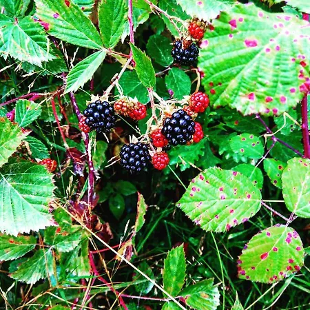 شقة Casa De Riba Teijeira