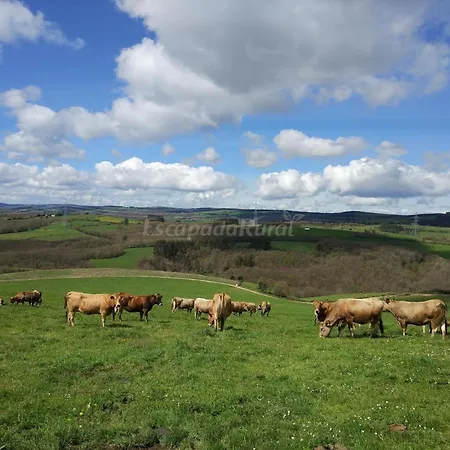 Casa De Riba Appartement Teijeira