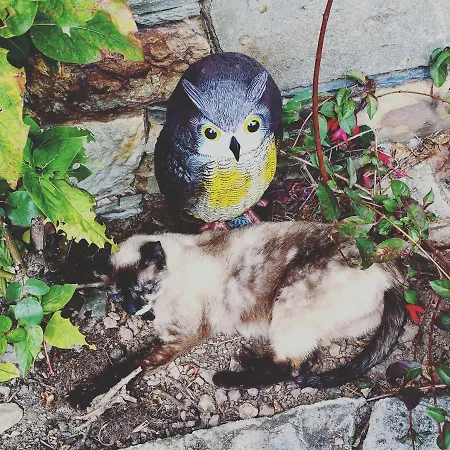 شقة Casa De Riba Teijeira